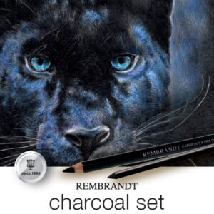 Lyra Rembrandt Kull sett 12-deler