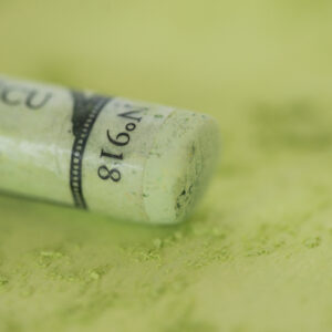 Sennelier Extra Soft tørrpastell Forest Green No 9, 918 i dyp, naturlig grønn tone med ekstra myk konsistens