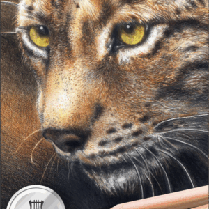 Lyra Rembrandt skisse-Sett, 6 deler