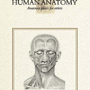 Leonardo Human Anatomy anatomiplansjer for kunstnere med detaljerte illustrasjoner av menneskekroppens muskler og skjelett.